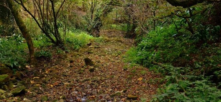 10 Ottobre – Escursione fotografica in val Borago